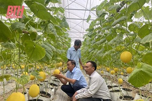Thúc đẩy HTX phát triển hiệu quả, bền vững (Bài cuối): Để kinh tế tập thể thành nền tảng phát triển ở các địa phương