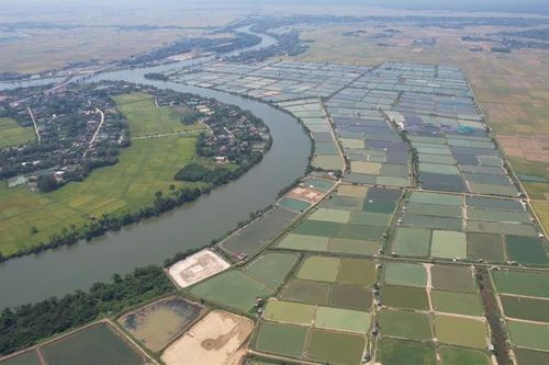 Quảng Trị đã xử lý nhiều doanh nghiệp gây ô nhiễm môi trường