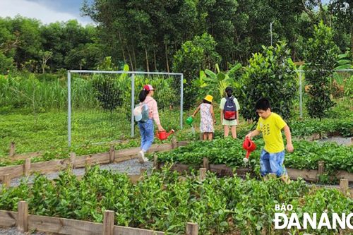 Phát triển nông nghiệp gắn với du lịch