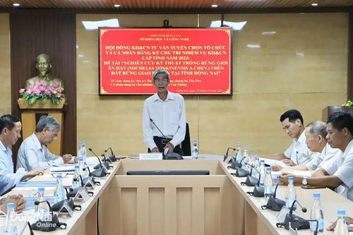 Triển khai đề tài nghiên cứu khoa học cấp tỉnh về kỹ thuật trồng rừng giổi