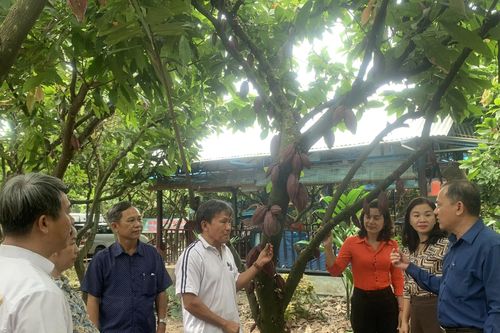 Thu nhập bình quân của người dân nông thôn đạt hơn 83 triệu đồng/người/năm