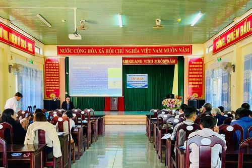 Pleiku: Tập huấn quy trình trồng rau, củ quả đạt chuẩn VietGAP