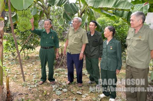Ông Luần làm giàu trên vùng đất mới