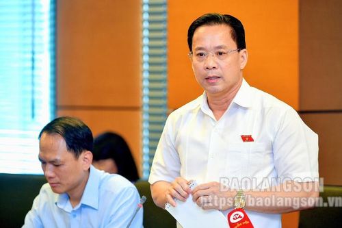Đoàn đại biểu Quốc hội tỉnh thảo luận ở tổ về một số chính sách phát triển kinh tế – xã hội