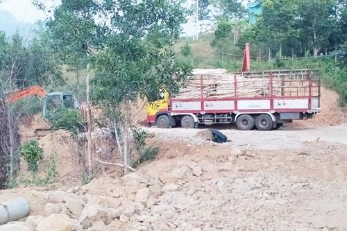 Trạm cân keo tràm trái phép - Bài 1: Những trạm cân '4 không'