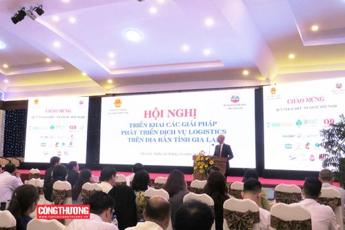 Giải pháp nào phát triển dịch vụ logistics trên địa bàn tỉnh Gia Lai?
