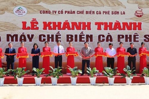 Sơn La khánh thành nhà máy chế biến cà phê