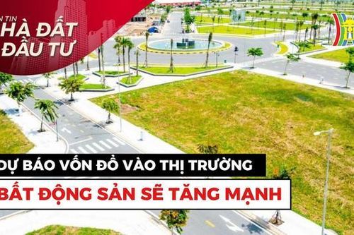 Bản tin Nhà đất và đầu tư | 24/10/2023