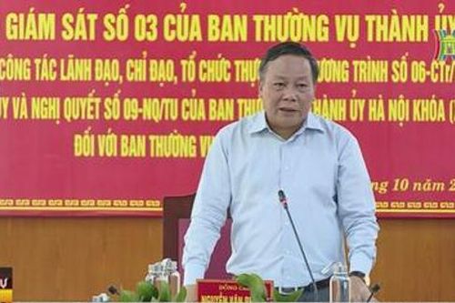 Huyện Mê Linh cần tập trung phát triển văn hóa