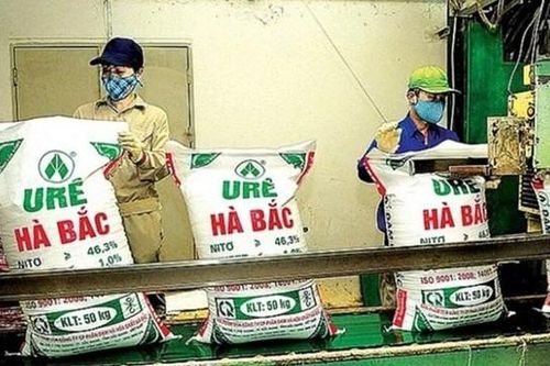 Đạm Hà Bắc (DHB) báo lỗ quý thứ 3 liên tiếp, vốn chủ sở hữu âm hơn 1.000 tỷ đồng