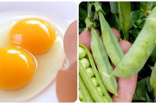 6 loại thực phẩm bổ sung kẽm cực hiệu quả