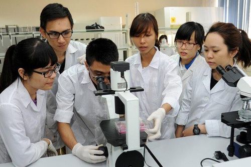 Nhiều ngành đào tạo trình độ tiến sĩ có nguy cơ 'đóng mã'