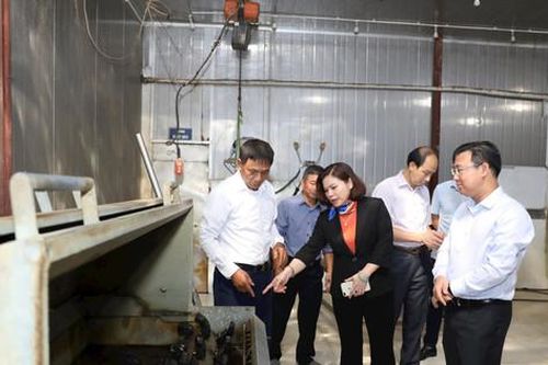 Thanh Oai: Tạo việc làm hiệu quả thông qua các nguồn vốn vay