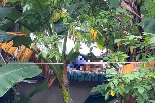 Nam nhân viên tử vong thương tâm khi sửa chữa dây mạng