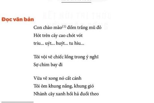 Sách giáo khoa qua nhiều vòng thẩm định vẫn có 'sạn'