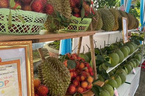 Nghĩa Hành phát triển trái cây OCOP