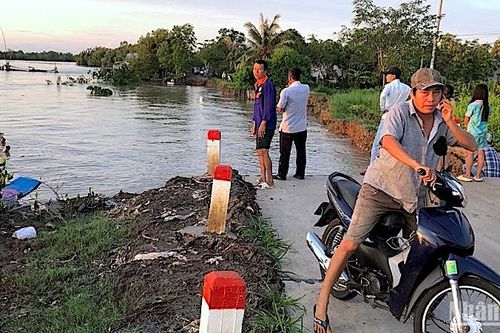 Cà Mau: Triển khai công trình khẩn cấp khắc phục sạt lở đất ven biển