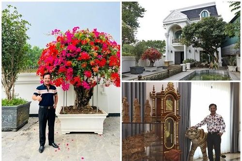 Cận cảnh biệt thự nhà vườn như lâu đài của nghê sĩ Quang Tèo