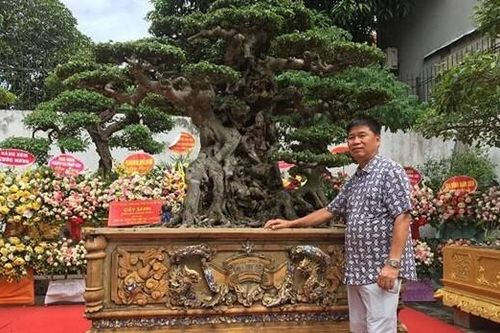 Tận mục vườn cây cảnh 500 tỷ độc nhất vô nhị Việt Nam