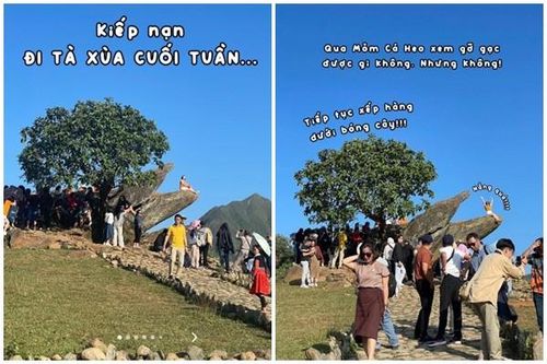 Săn mây Tà Xùa dịp cuối tuần và loạt 'kiếp nạn' hài hước