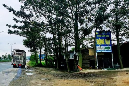 Khởi tố 2 kiểm dịch viên 'vòi' 30 triệu đồng chủ xe chở lợn