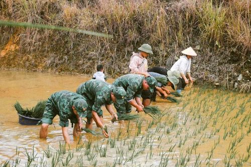 Ở nơi tình quân dân gắn kết, chung sức, đồng lòng xây dựng, bảo vệ biên giới bình yên