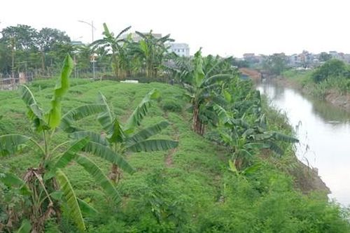 Dự án cải tạo thoát nước sông Pheo, 11 năm vẫn chưa hoàn thành