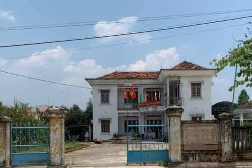 Kỷ luật khiển trách Giám đốc Ban quản lý rừng phòng hộ ở Bình Định