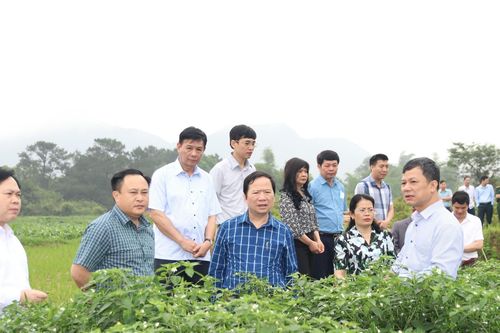 Hiệu quả đầu tư cơ sở vật chất trong xây dựng nông thôn mới ở xứ Lạng