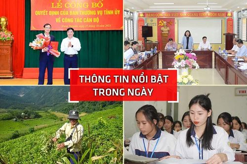 Thông tin nổi bật tại Nghệ An ngày 25/10