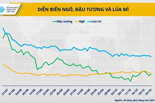 El Nino liệu có khiến giá nguyên liệu chăn nuôi tăng mạnh?