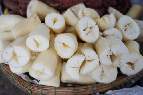 Ăn sắn như thế nào cho đúng cách và tốt cho sức khỏe?