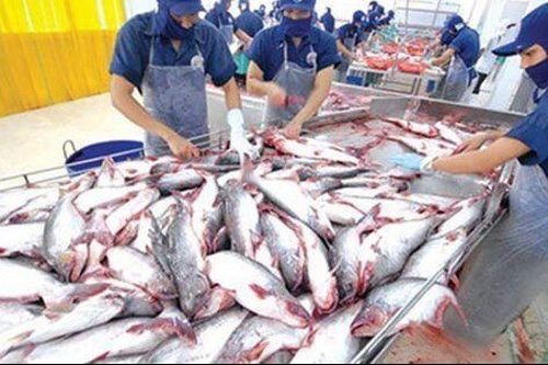 Kinh doanh gặp khó, Thủy sản Nam Việt (ANV) báo lãi quý III/2023 giảm 99%