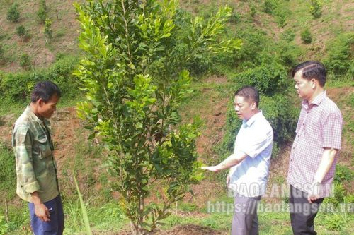 Tổ đại biểu HĐND các cấp: Tập trung lắng nghe, tăng cường giám sát