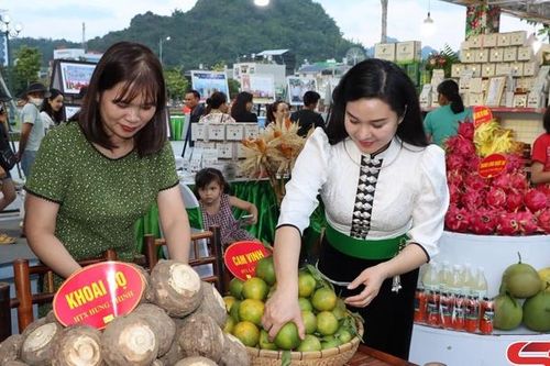 Xây dựng thương hiệu khoai sọ Thuận Châu