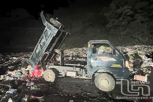 Tiêu hủy trên 2 tấn thịt lợn 'bẩn' phát hiện tại phường Túc Duyên