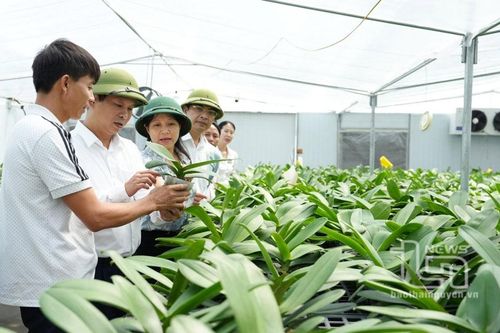 Sông Công dồn sức cho chặng 'nước rút'