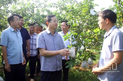 Sớm tháo gỡ khó khăn để người dân có điều kiện phát triển sản xuất