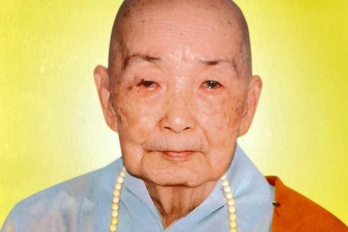 Đồng Tháp: Ni trưởng Thích nữ Tâm Hậu, Chứng minh Phân ban Ni giới tỉnh viên tịch