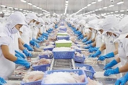 Thiết kế bao bì phù hợp với phát triển xanh