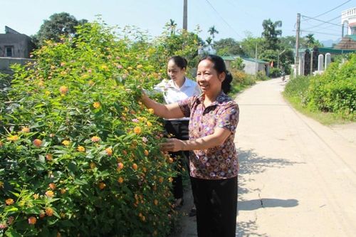 Chung tay xây dựng nông thôn mới
