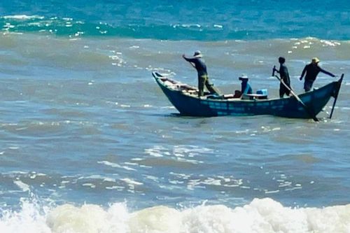 Mưu sinh mùa biển động