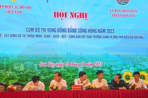 Phủ xanh đô thị, giữ sạch phố phường