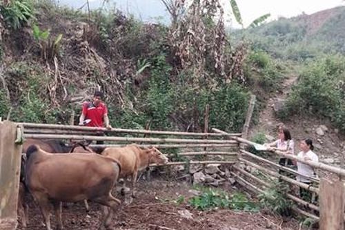 Lai Châu: Tạo sức bật cho vùng dân tộc thiểu số