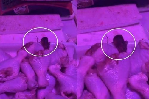 Đi chợ mua đùi gà, phát hiện điều kinh dị