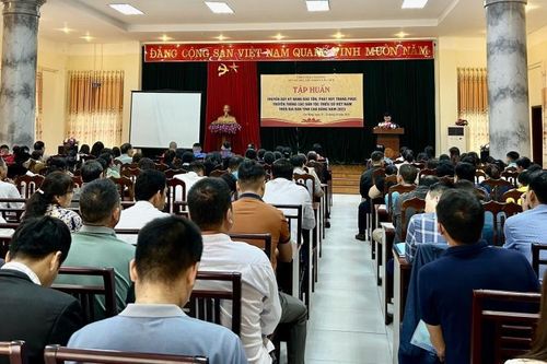 Tập huấn kỹ năng bảo tồn, phát huy trang phục truyền thống các dân tộc thiểu số