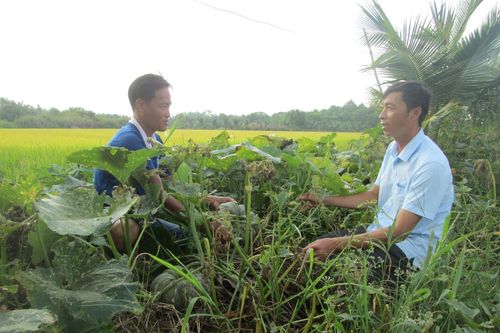 Bạc Liêu đẩy mạnh giải ngân vốn thực hiện Chương trình mục tiêu quốc gia