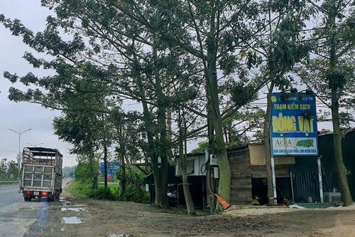 Bắt hai nhân viên Trạm kiểm dịch vòi tiền chủ xe chở lợn