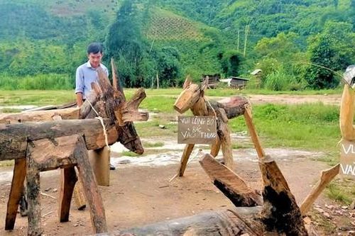 Không gian xanh nhờ thùng rác hình thú ngộ nghĩnh của thanh niên vùng sâu