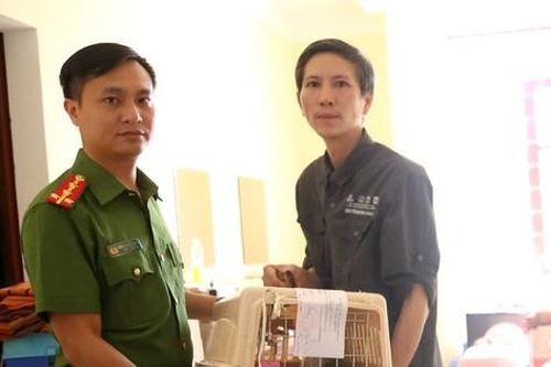 Bàn giao nhiều cá thể tê tê, hổ mang chúa cho VQG Cúc Phương